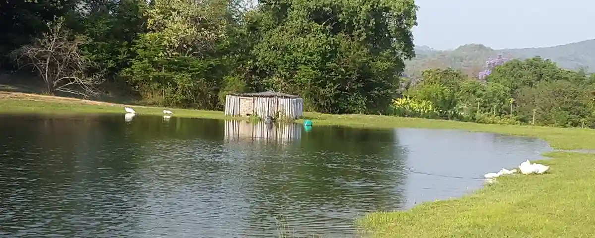 Panoramic Route and Kruger Experience-1